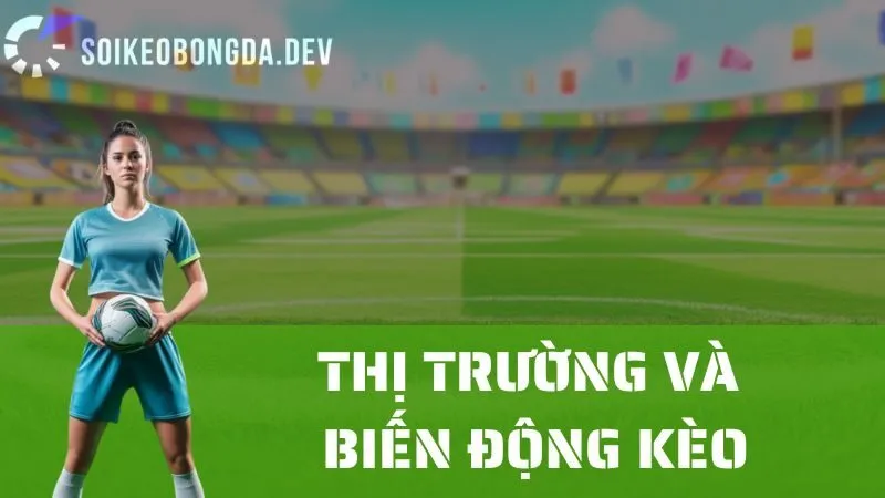 Cách Soi Kèo Bóng Đá Qua Thông Tin Thị Trường Và Biến Động Kèo 1 Cách Soi Kèo Bóng Đá Qua Thông Tin Thị Trường Và Biến Động Kèo
