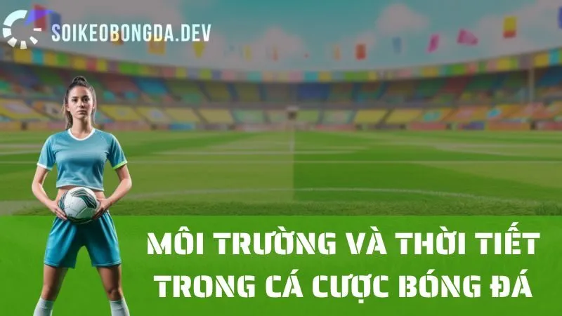 Phân Tích Môi Trường Và Điều Kiện Thời Tiết Khi Đặt Cược Bóng Đá