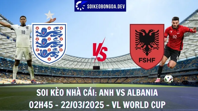 Soi kèo nhà cái Anh vs Albania - 02h45 - 22/03/2025 - VL World Cup